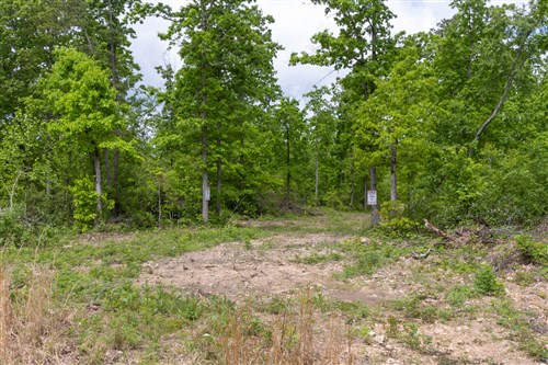 Sleepy Hollow Phase II Tract 67