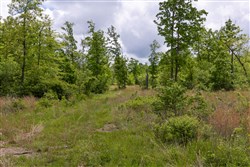 Sleepy Hollow Phase II Tract 67