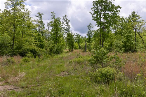 Sleepy Hollow Phase II Tract 67