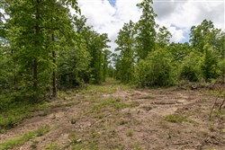 Sleepy Hollow Phase II Tract 68