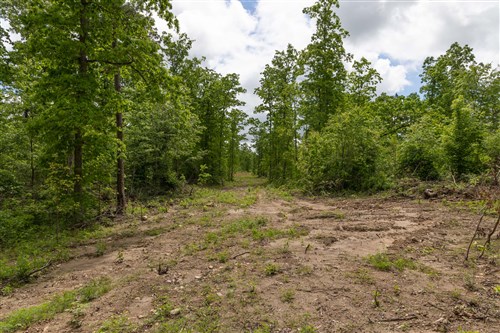 Sleepy Hollow Phase II Tract 68