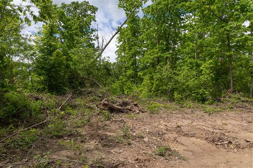 Sleepy Hollow Phase II Tract 68