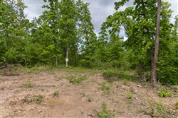 Sleepy Hollow Phase II Tract 68