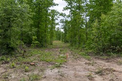 Sleepy Hollow Phase II Tract 68