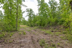 Sleepy Hollow Phase II Tract 69
