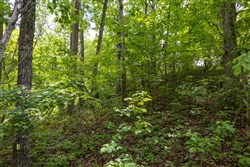 Sleepy Hollow Phase II Tract 69