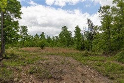 Sleepy Hollow Phase II Tract 69