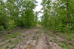 Sleepy Hollow Phase II Tract 69
