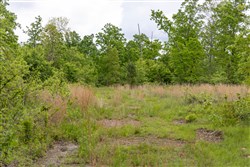 Sleepy Hollow Phase II Tract 70
