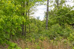 Sleepy Hollow Phase II Tract 70