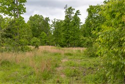 Sleepy Hollow Phase II Tract 70
