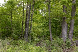 Sleepy Hollow Phase II Tract 70