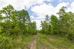 Sleepy Hollow Phase II Tract 71