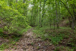 Sleepy Hollow Phase II Tract 71