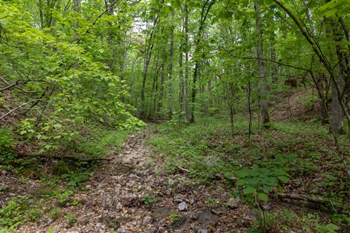 Sleepy Hollow Phase II Tract 71