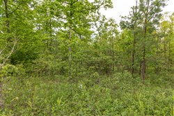 Sleepy Hollow Phase II Tract 71