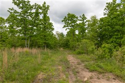 Sleepy Hollow Phase II Tract 71