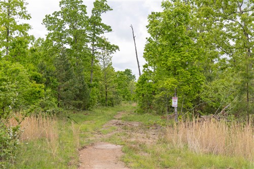 Sleepy Hollow Phase II Tract 72