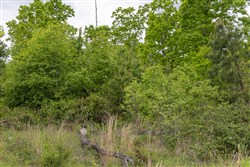 Sleepy Hollow Phase II Tract 72