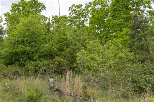 Sleepy Hollow Phase II Tract 72
