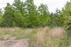 Sleepy Hollow Phase II Tract 72