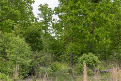 Sleepy Hollow Phase II Tract 72
