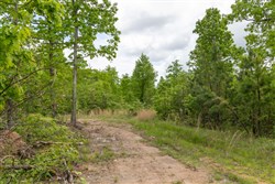 Sleepy Hollow Phase II Tract 73