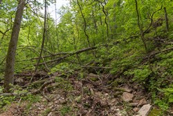 Sleepy Hollow Phase II Tract 73