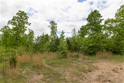 Sleepy Hollow Phase II Tract 73