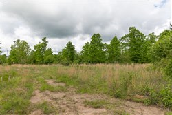 Sleepy Hollow Phase II Tract 73