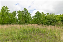Sleepy Hollow Phase II Tract 73