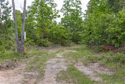 Sleepy Hollow Phase II Tract 74