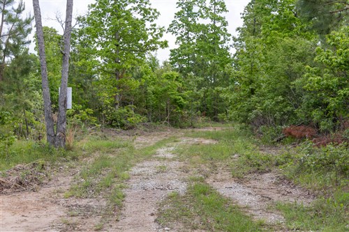 Sleepy Hollow Phase II Tract 74