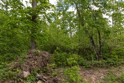 Sleepy Hollow Phase II Tract 74
