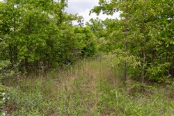 Sleepy Hollow Phase II Tract 74