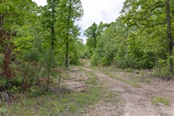 Sleepy Hollow Phase II Tract 74