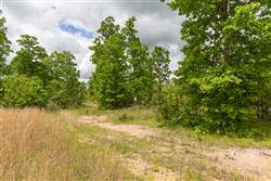 property photo for Sleepy Hollow Phase II Tract 75, 5.68 acres for sale in Texas County, Missouri