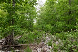 property photo for Sleepy Hollow Phase II Tract 75, 5.68 acres for sale in Texas County, Missouri