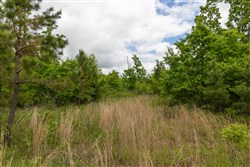 property photo for Sleepy Hollow Phase II Tract 75, 5.68 acres for sale in Texas County, Missouri