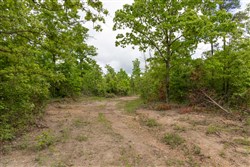 property photo for Sleepy Hollow Phase II Tract 75, 5.68 acres for sale in Texas County, Missouri