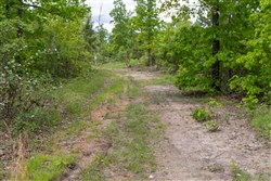 Sleepy Hollow Phase II Tract 76