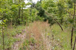 Sleepy Hollow Phase II Tract 76
