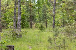 Sleepy Hollow Phase II Tract 76