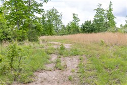Sleepy Hollow Phase II Tract 76