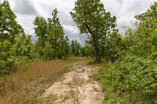 Sleepy Hollow Phase II Tract 77