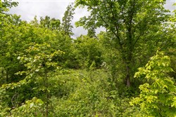 Sleepy Hollow Phase II Tract 77