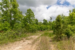 Sleepy Hollow Phase II Tract 77