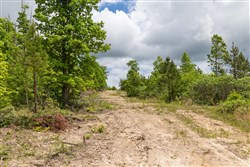 Sleepy Hollow Phase II Tract 78