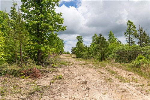 Sleepy Hollow Phase II Tract 78