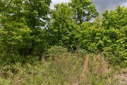 Sleepy Hollow Phase II Tract 78